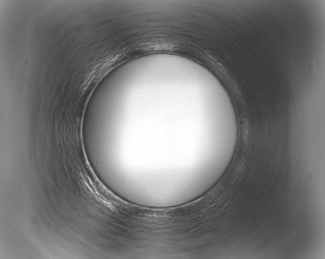 X0000086310537200703300959