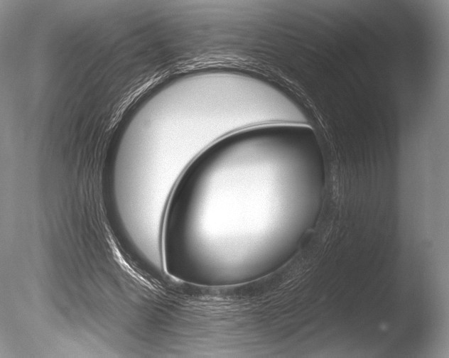 X0000086310538200703300959