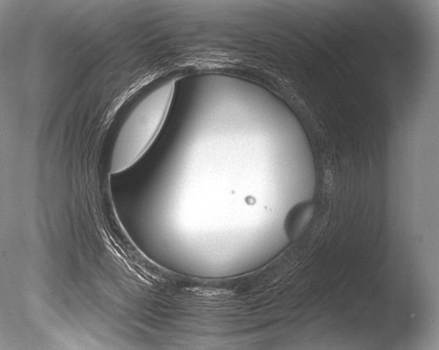 X0000086310539200703300959