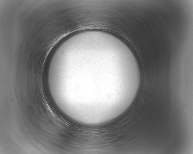X0000086310540200703300959