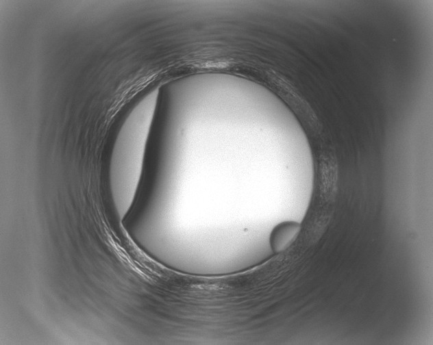 X0000086310541200703300959