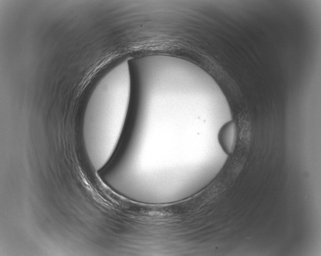X0000086310542200703300959