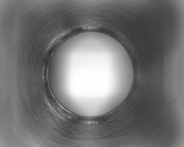 X0000086310543200703300959