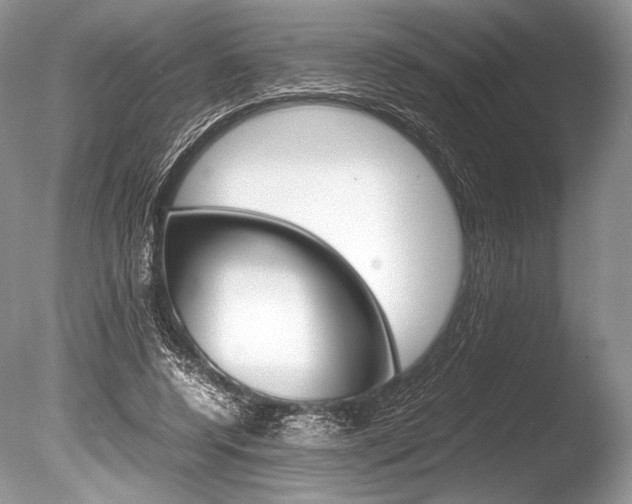 X0000086310544200703300959
