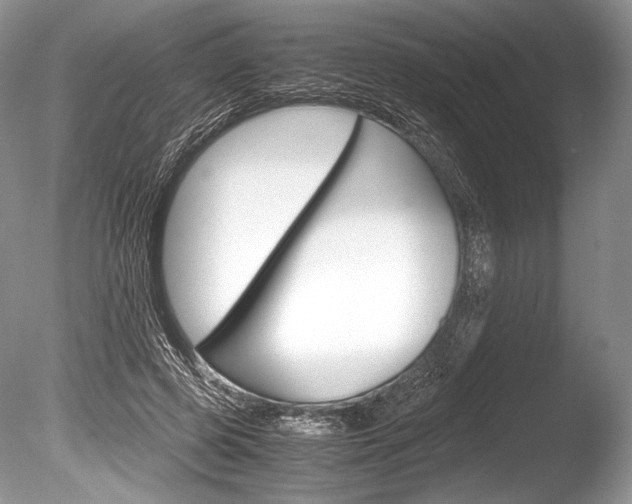 X0000086310545200703300959