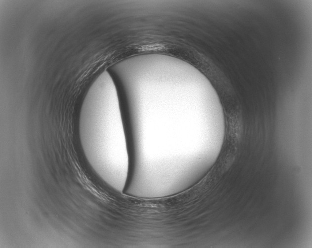 X0000086310549200703300959