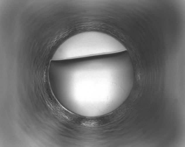 X0000086310551200703300959