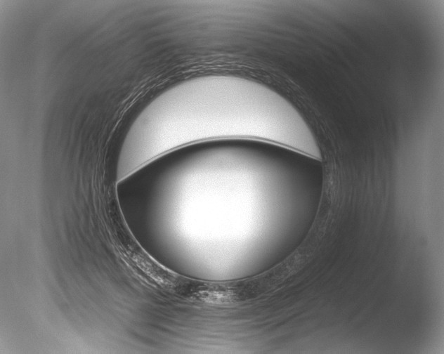 X0000086310552200703300959