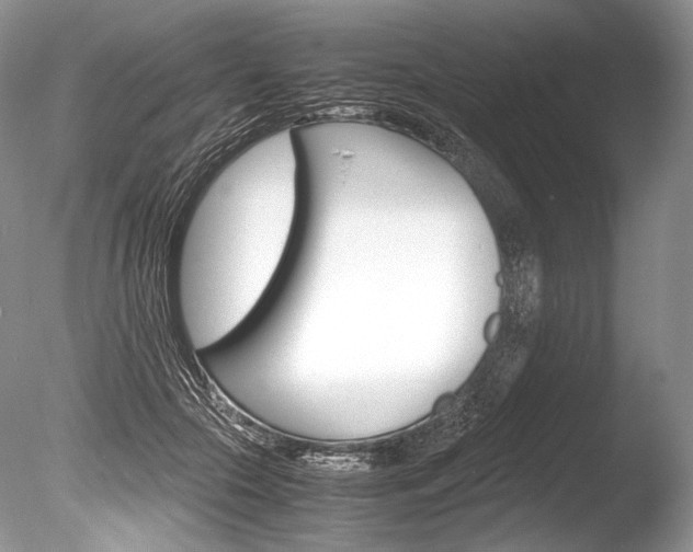 X0000086310553200703300959