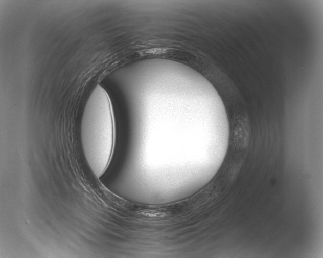 X0000086310555200703300959