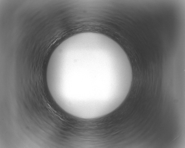 X0000086310556200703300959