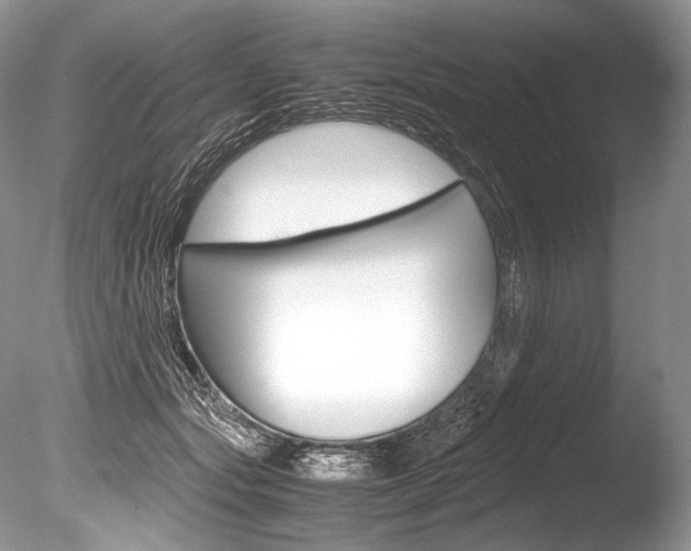 X0000086310557200703300959