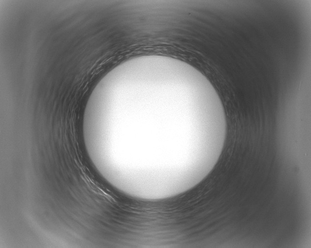 X0000086310558200703300959