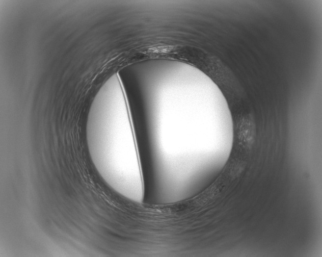 X0000086310559200703300959