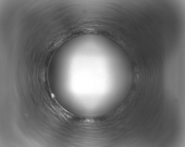 X0000086310562200703300959