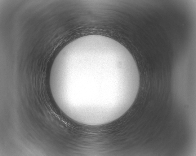 X0000086310564200703300959