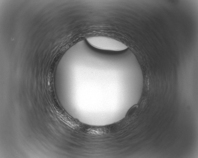 X0000086310567200703300959