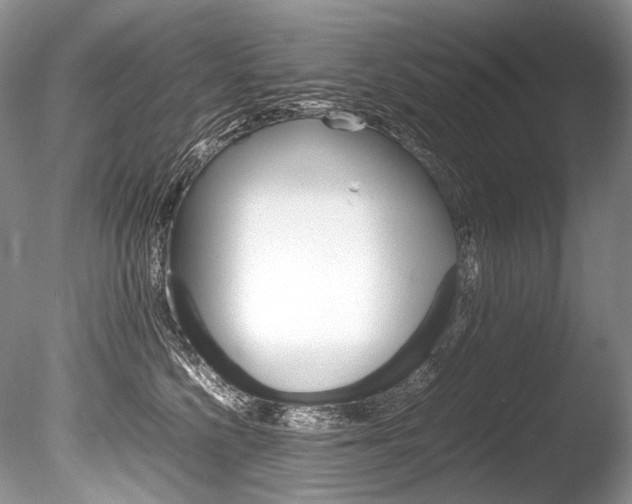 X0000086310568200703300959