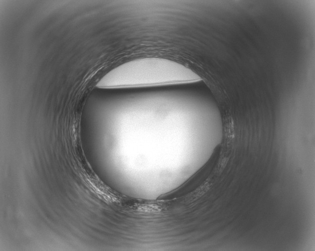 X0000086310572200703300959