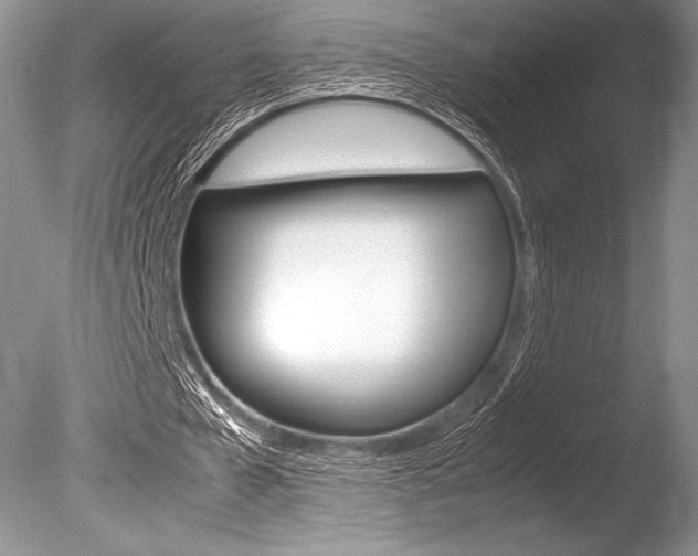 X0000086310577200703300958
