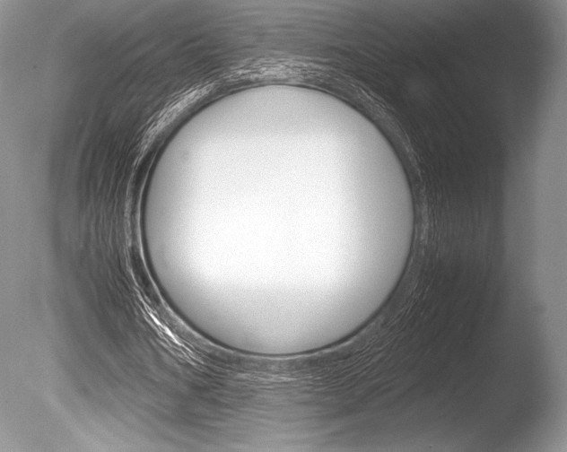 X0000086310578200703300958