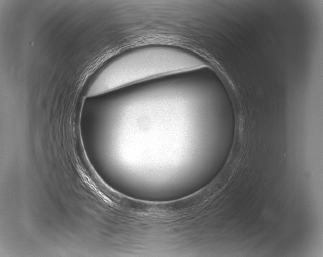 X0000086310581200703300958
