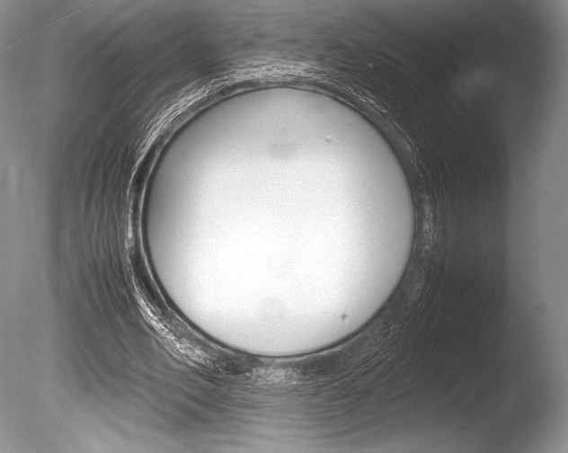X0000086310582200703300958