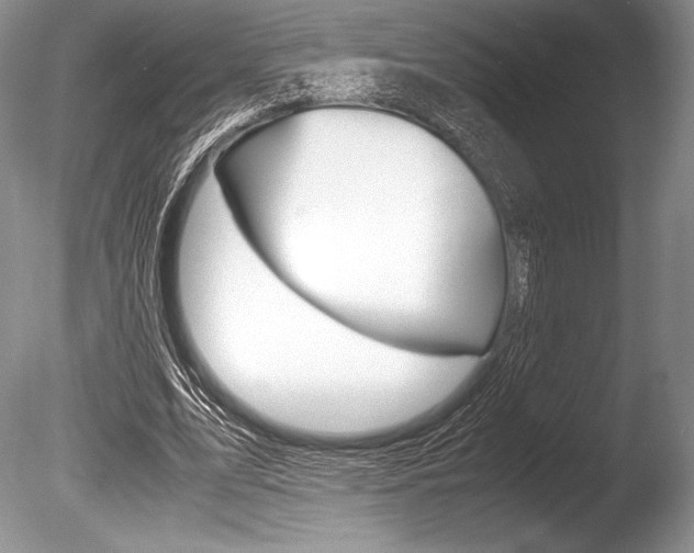 X0000086310583200703300958