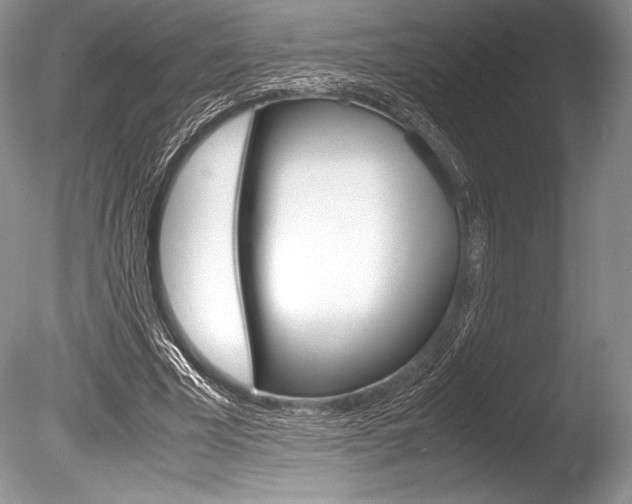 X0000086310585200703300958