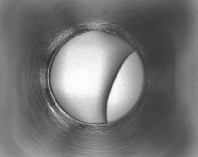 X0000086310586200703300958