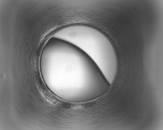 X0000086310587200703300958