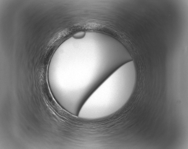 X0000086310591200703300958