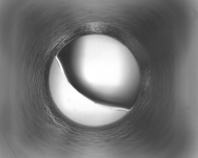 X0000086310595200703300958