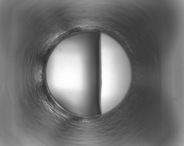 X0000086310596200703300958
