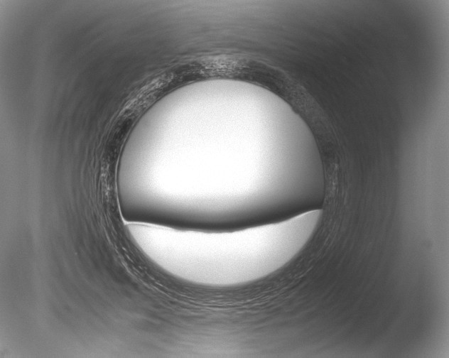 X0000086310599200703300958