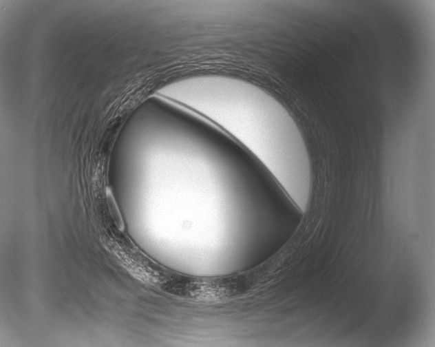 X0000086310601200703300958