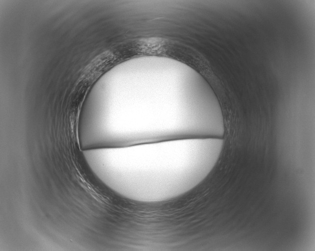 X0000086310602200703300958