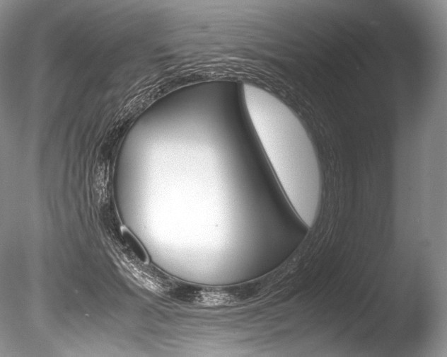 X0000086310605200703300958