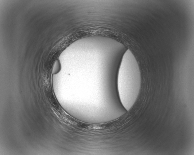 X0000086310607200703300958