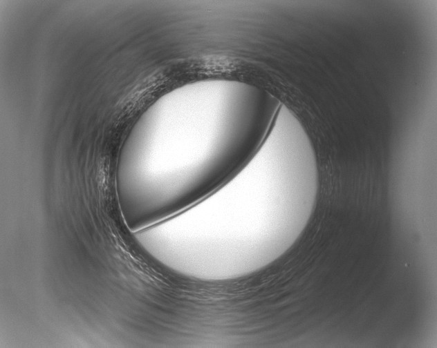 X0000086310608200703300958