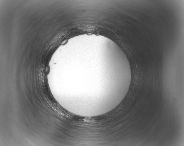 X0000086310612200703300958