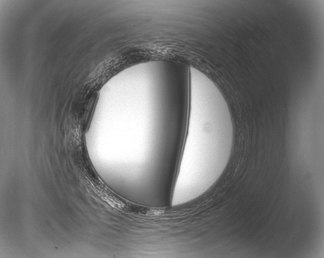 X0000086310613200703300958