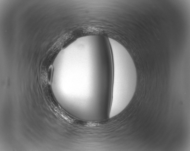X0000086310617200703300958