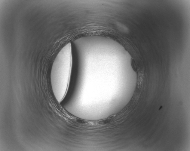 X0000086310623200703300958
