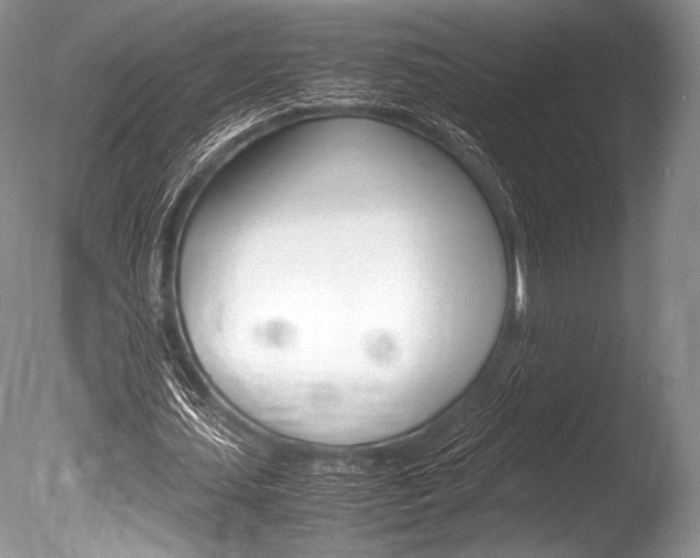 X0000086310627200703300957