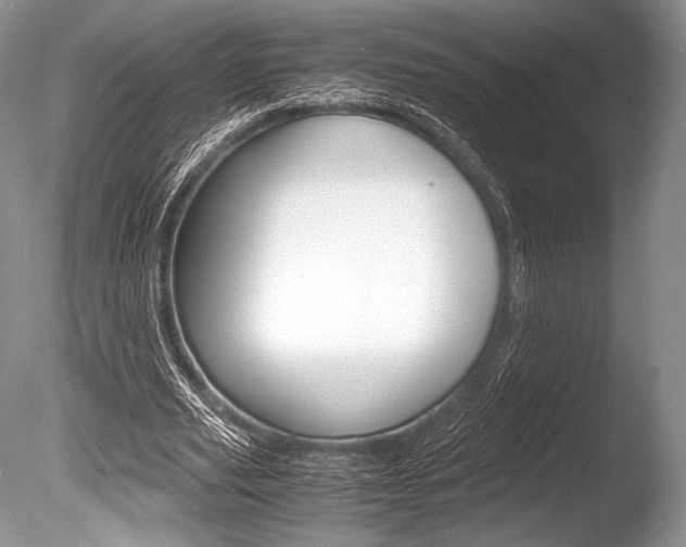 X0000086310629200703300957