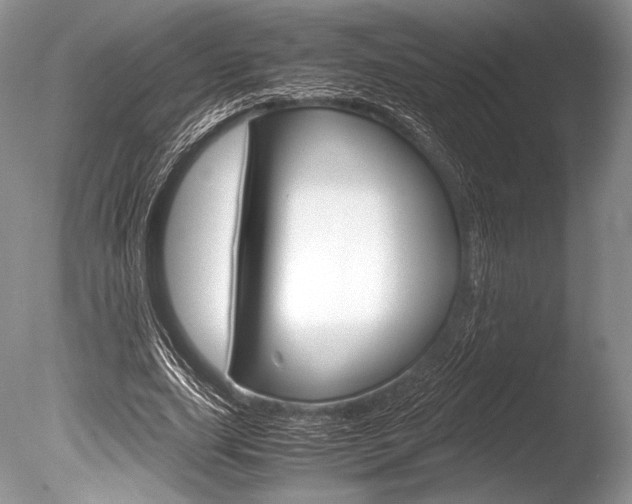 X0000086310631200703300957