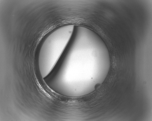 X0000086310634200703300957