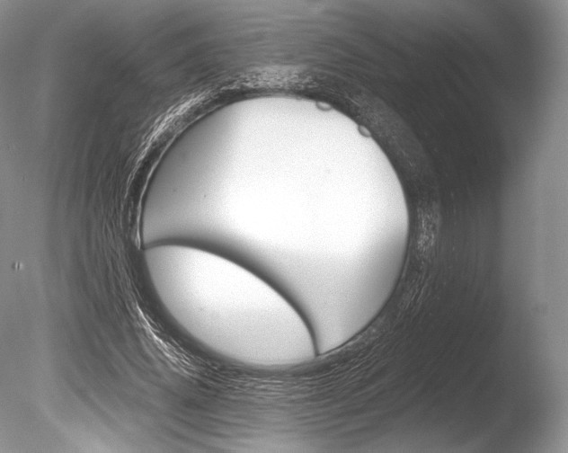 X0000086310636200703300957