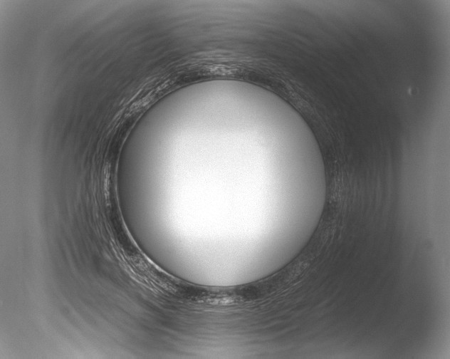 X0000086310646200703300957